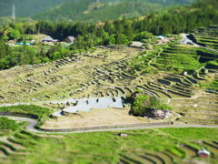 丸山千枚田（ミニチュア風）