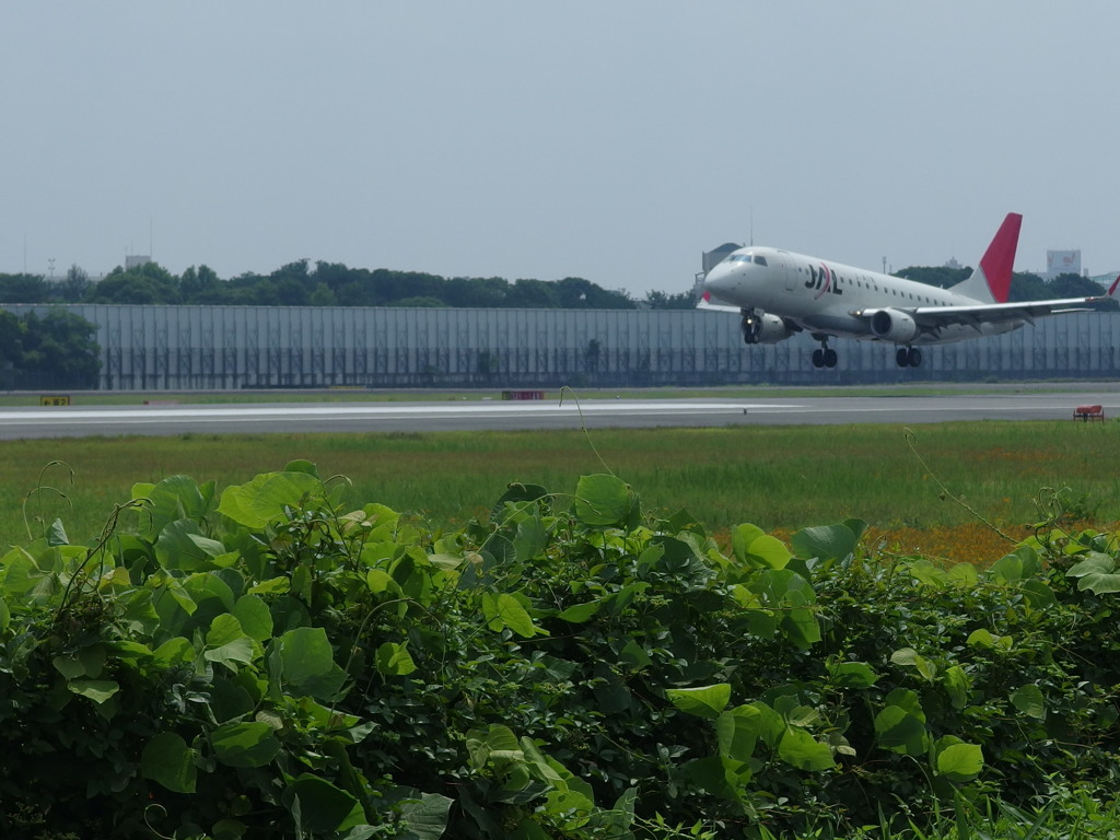 Ｌａｎｄｉｎｇ！！