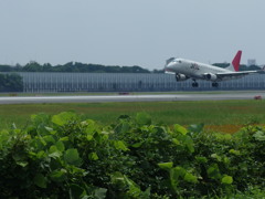 Ｌａｎｄｉｎｇ！！