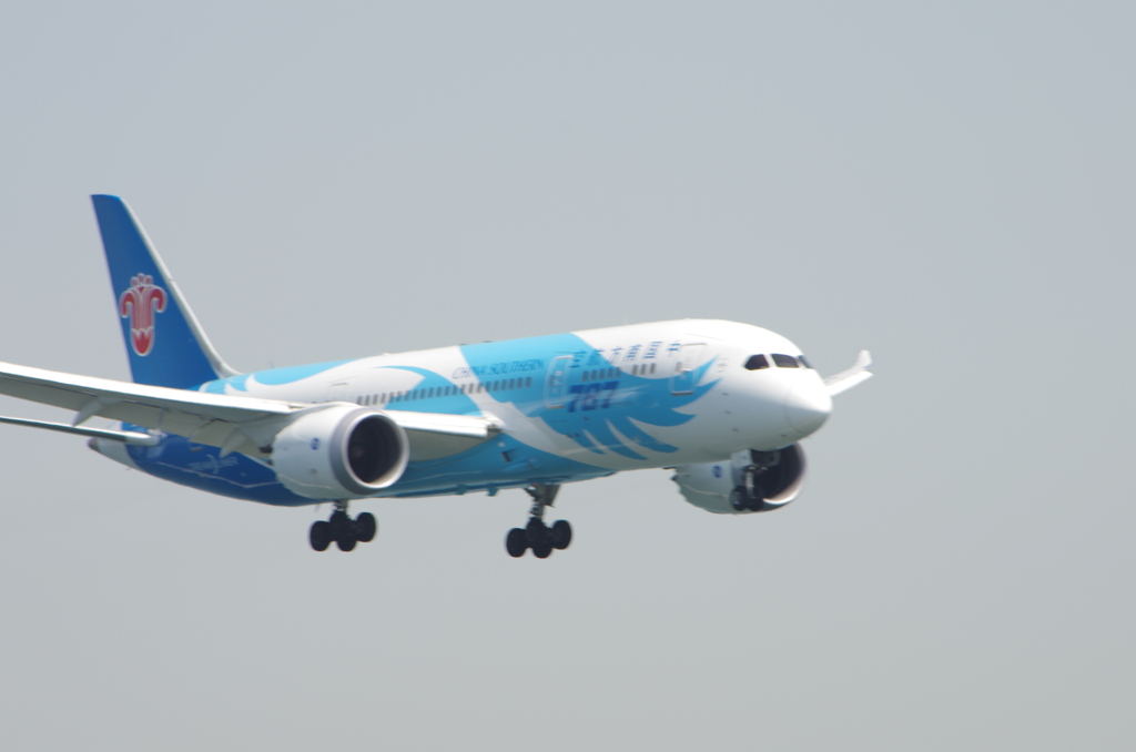 IMGP2455