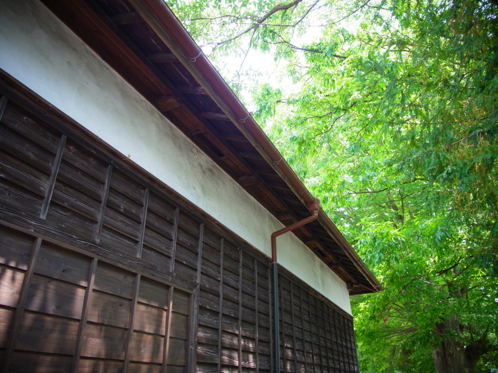 R0012035