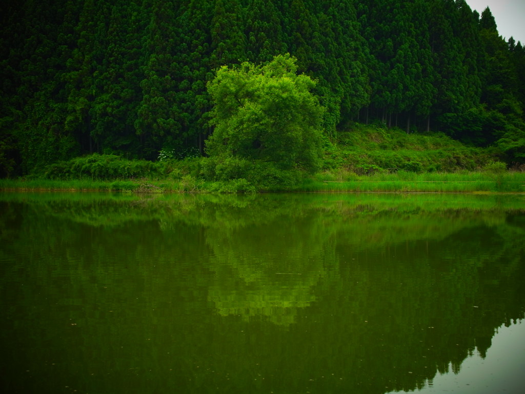 神秘の池。