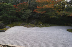 圓徳院