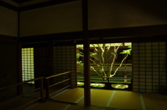 青蓮院門跡