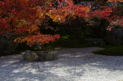 天授庵　紅葉
