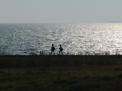 海岸を歩くふたり。