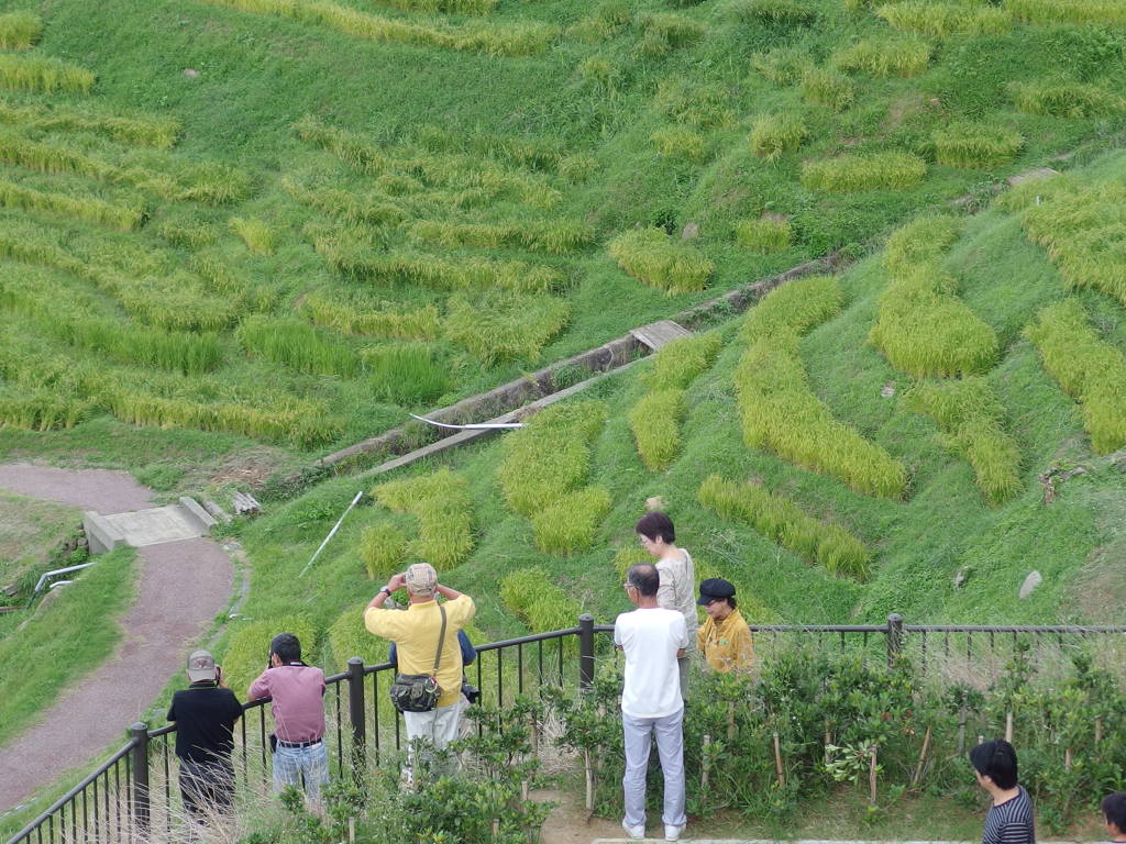 千枚田のカメラマンたち。