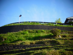 R0011572
