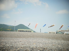 空より高い鯉のぼり