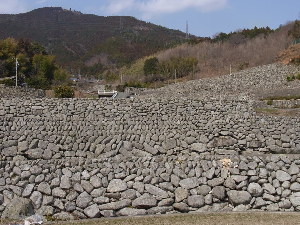 深野のだんだん田　その２
