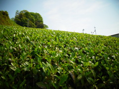R0011206