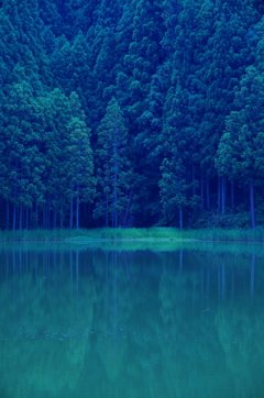 神降臨。