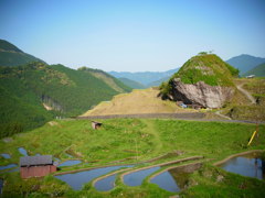 maruyama rice terrace