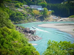 清流のなかを駆け巡る