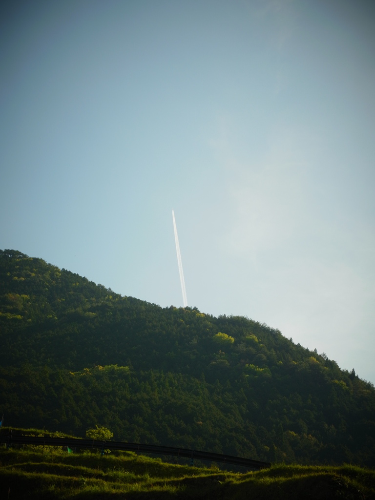 見上げると、飛行機雲