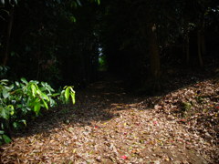 path