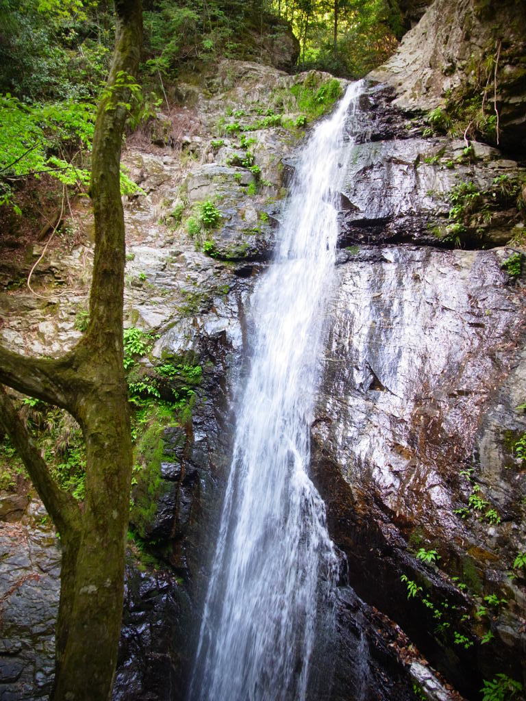 さまざまな滝の顔