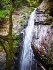 さまざまな滝の顔