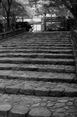 SDIM0107
