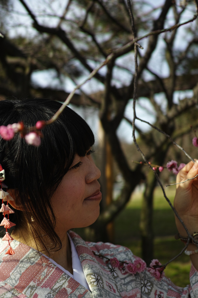 SDIM0030