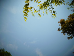 R0011286