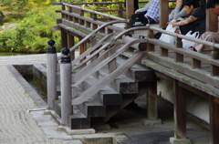 IMGP6681