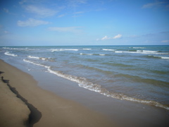 R0012423