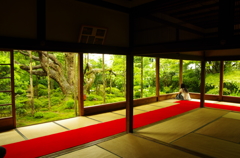 額縁庭園