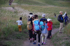 曾爾高原の行楽客。