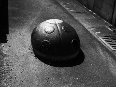 こんなところにてんとう虫？？