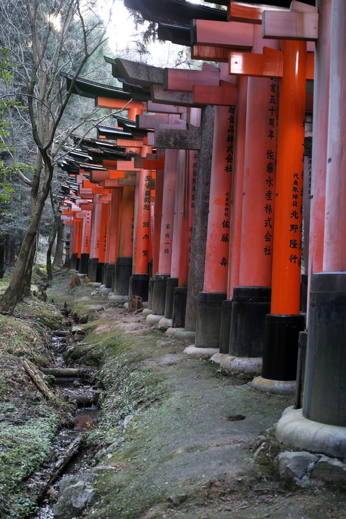SDIM0281