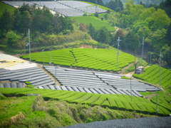 R0011313