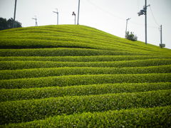 R0011331