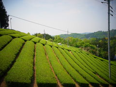R0011261