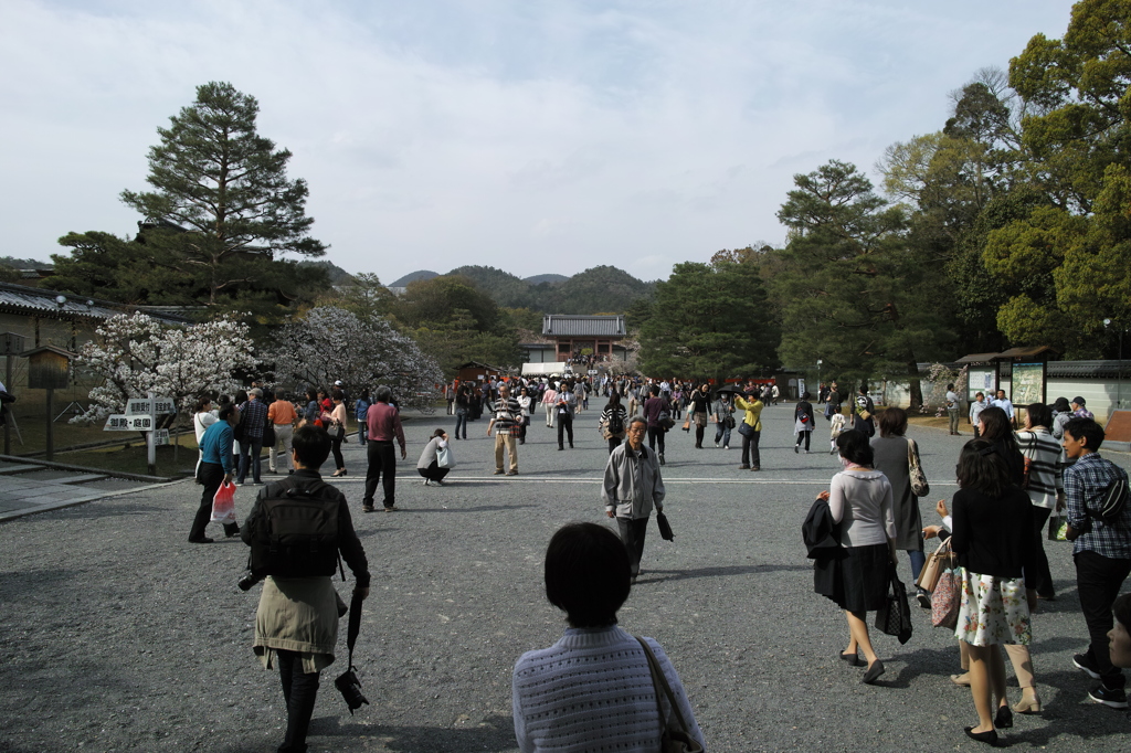 DP1M0668