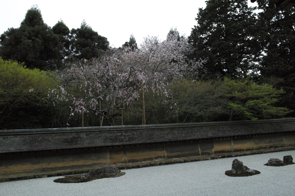 DP1M0707