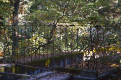 DP3M0239