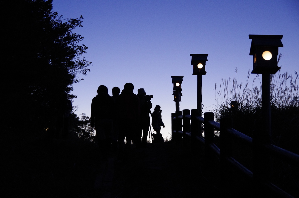 写真に身を捧げる者達。