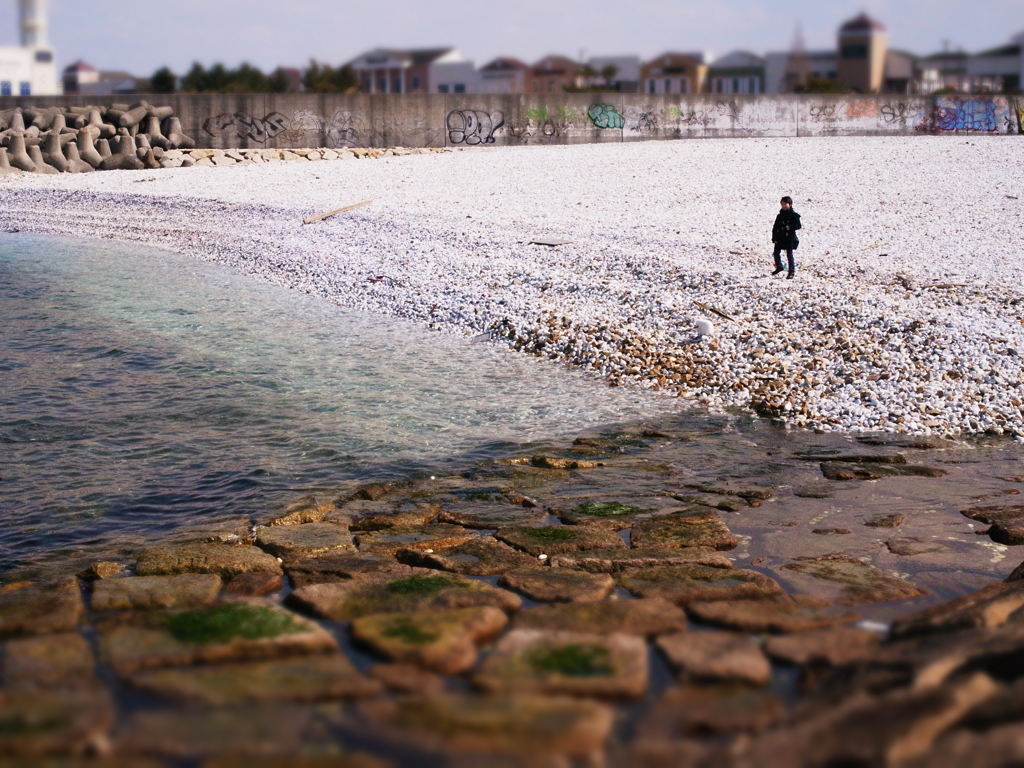 海辺で遊ぶ子供（２）
