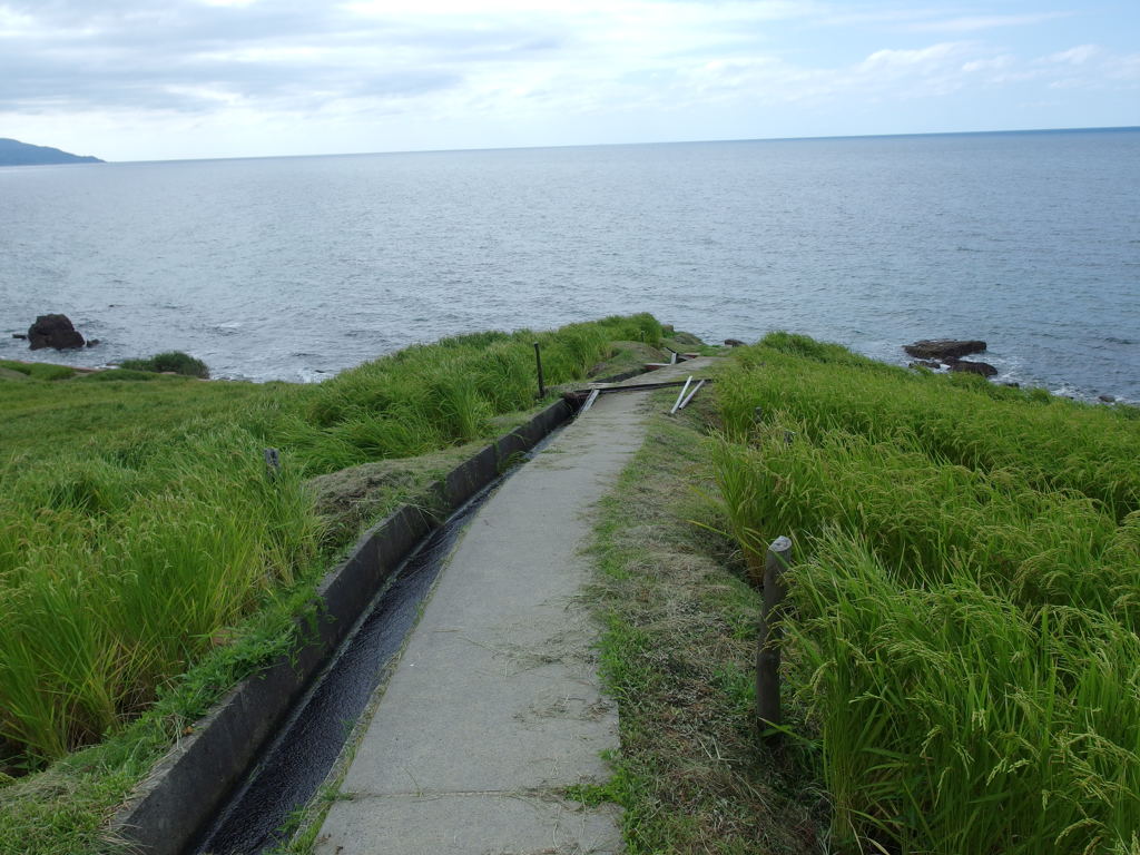 IMGP0523