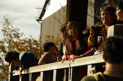 IMGP5632