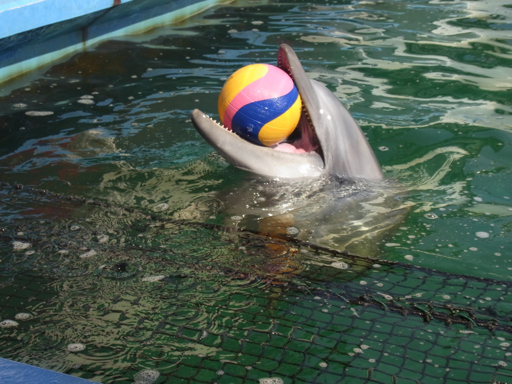 ナイスキャッチ！！