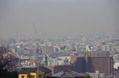 IMGP6349