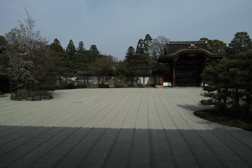DP1M0671