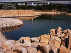 海浜公園