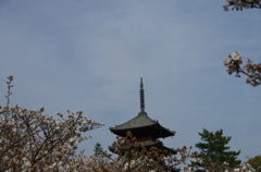IMGP6722