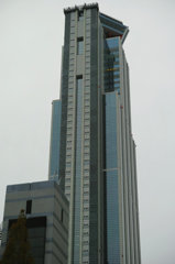DP3M0455