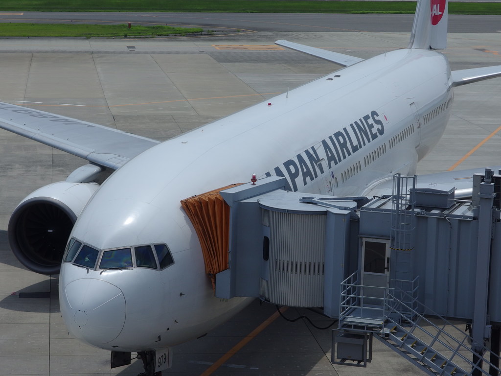 ご搭乗、有難うございます。