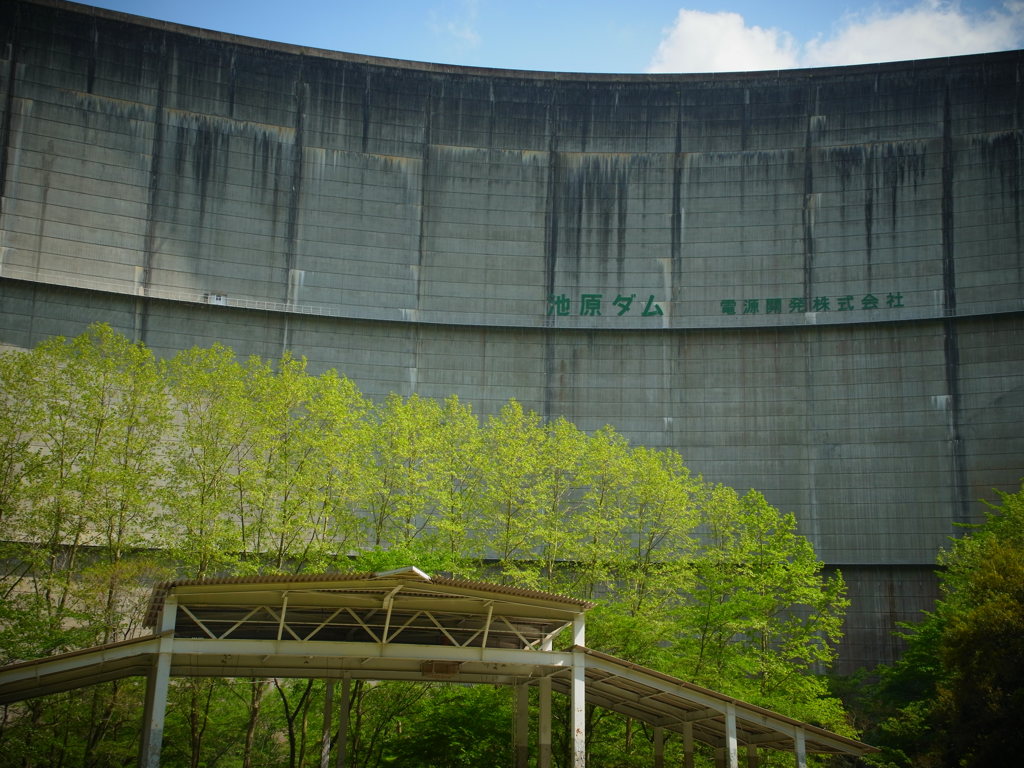 ブラックバスの聖地～池原ダム～