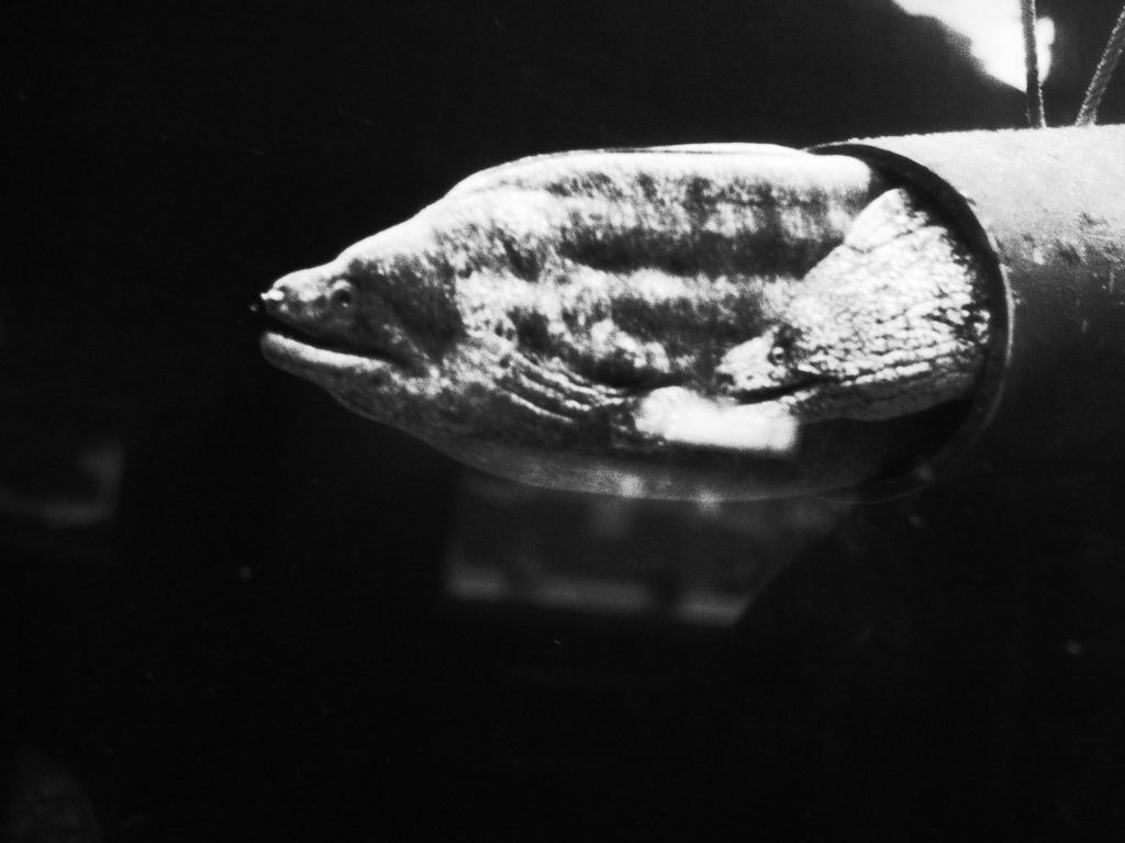 穴の中からこんにちは